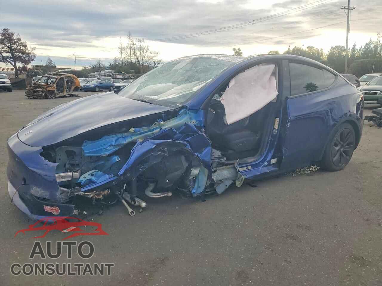 TESLA MODEL Y 2025 - 7SAYGDED1SF236715