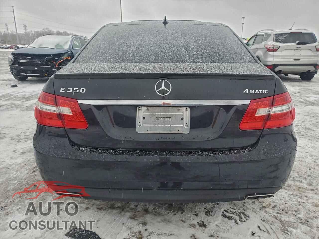 MERCEDES-BENZ E-CLASS 2010 - WDDHF8HB7AA251587