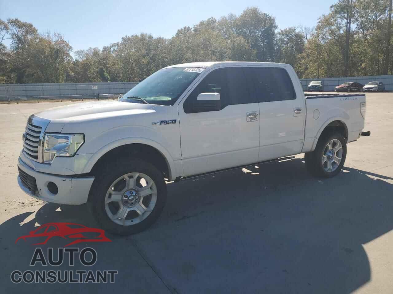 FORD F-150 2011 - 1FTFW1E62BFB43513