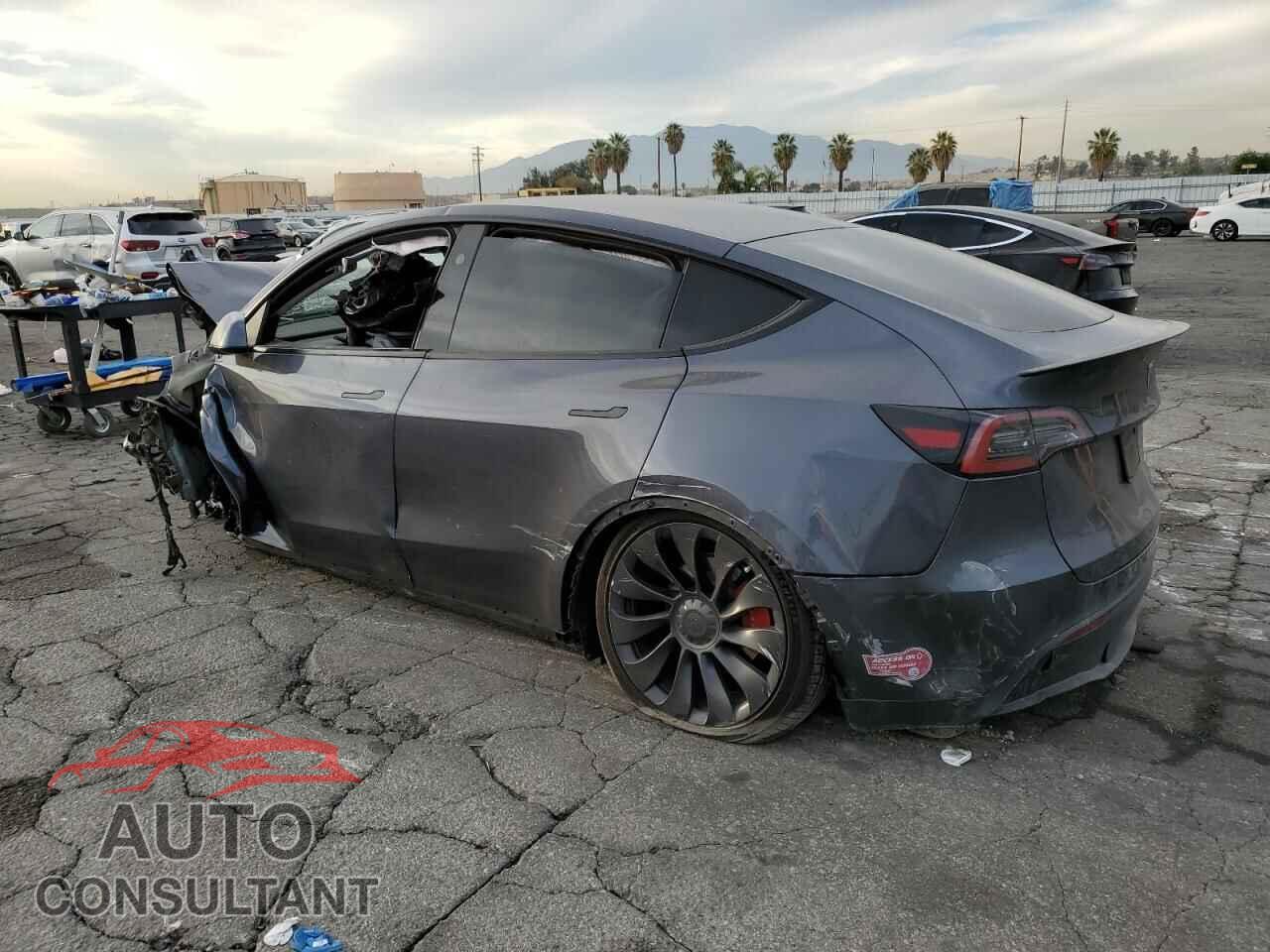 TESLA MODEL Y 2023 - 7SAYGDEFXPF813749
