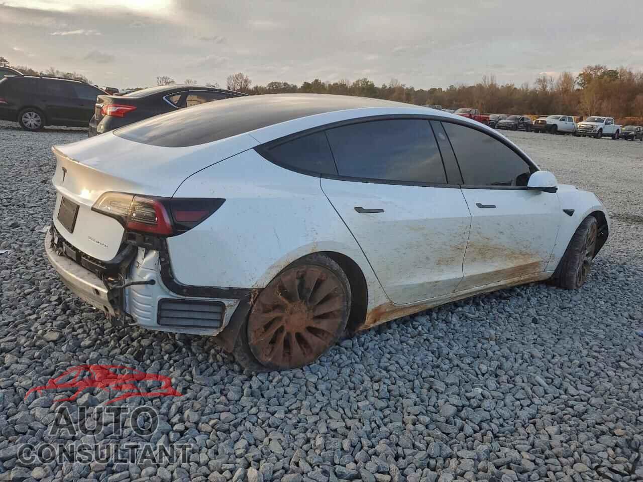 TESLA MODEL 3 2021 - 5YJ3E1EC2MF849741