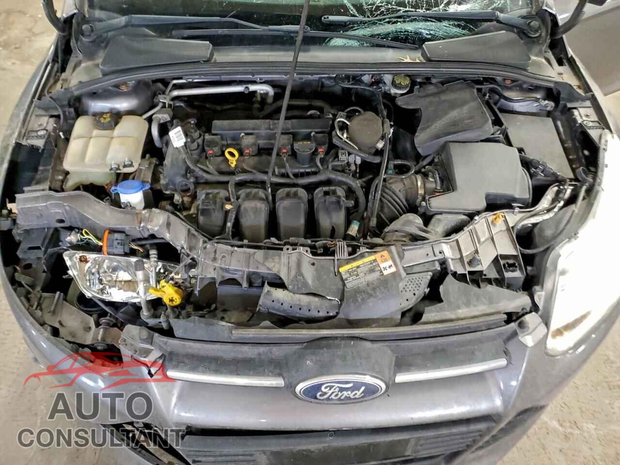 FORD FOCUS 2014 - 1FADP3F26EL131291