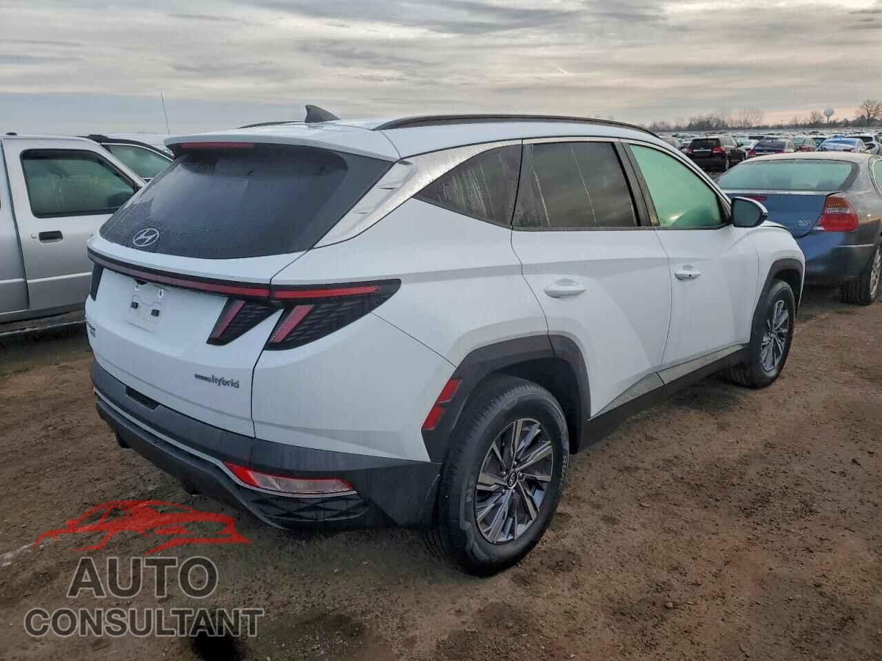 HYUNDAI TUCSON 2022 - KM8JBCA16NU030056