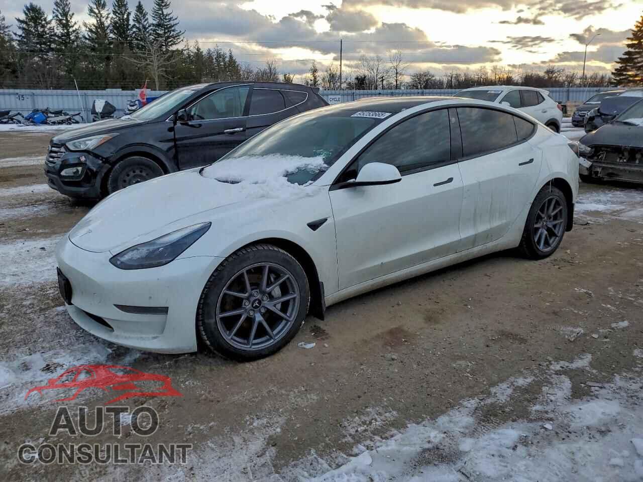 TESLA MODEL 3 2023 - 5YJ3E1EA1PF500833