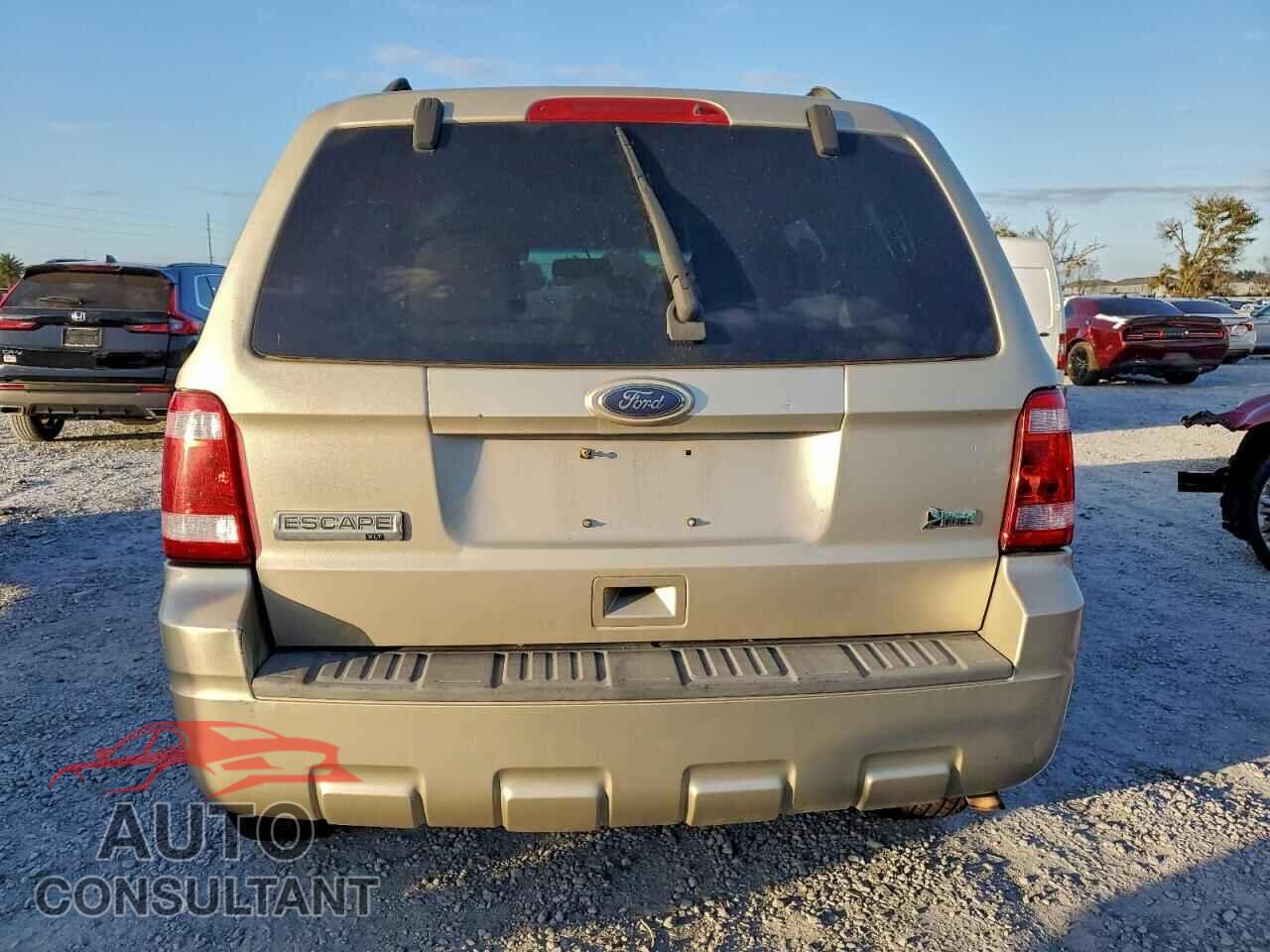 FORD ESCAPE 2010 - 1FMCU9DG4AKD13258