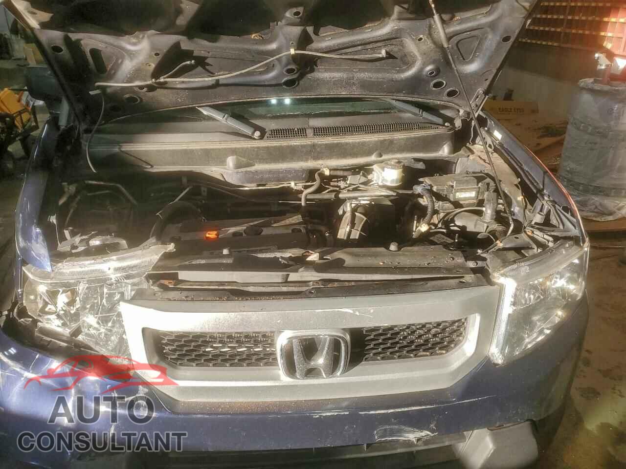 HONDA ELEMENT 2010 - 5J6YH2H30AL008941