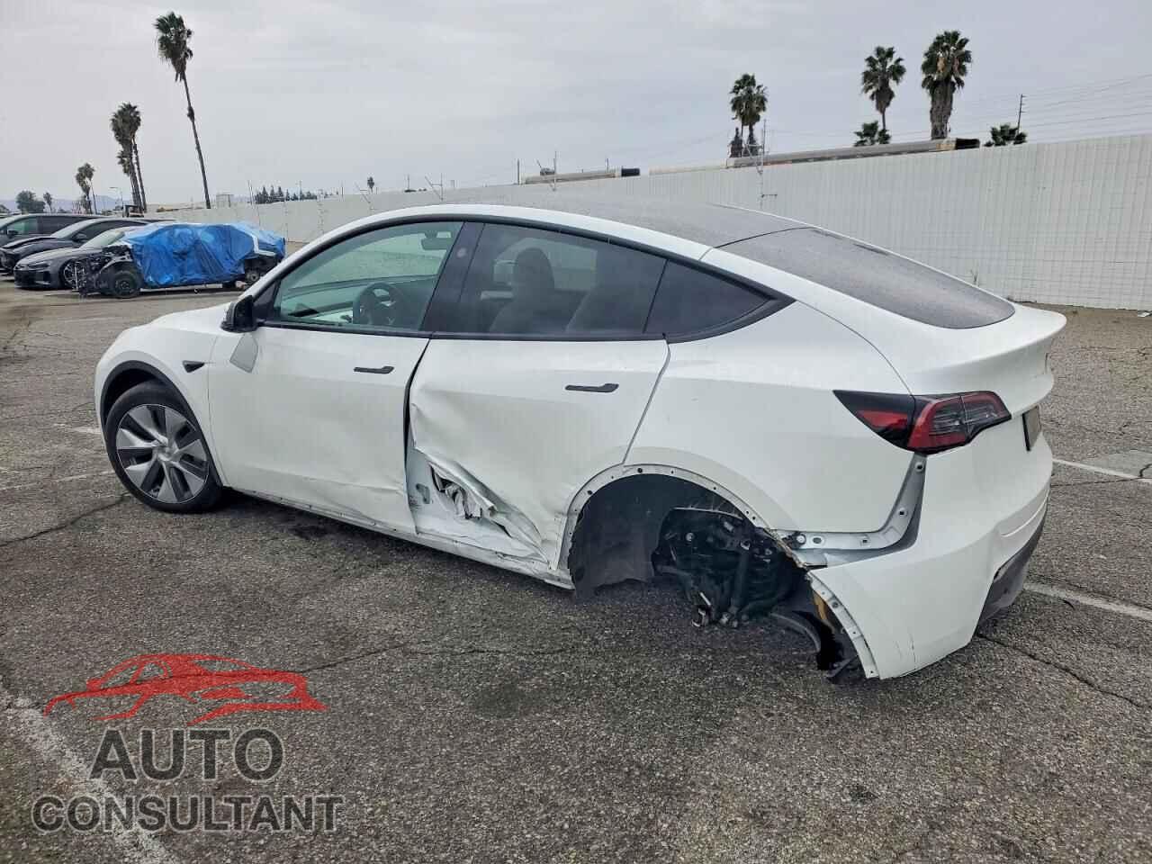 TESLA MODEL Y 2024 - 7SAYGDED7RF096969
