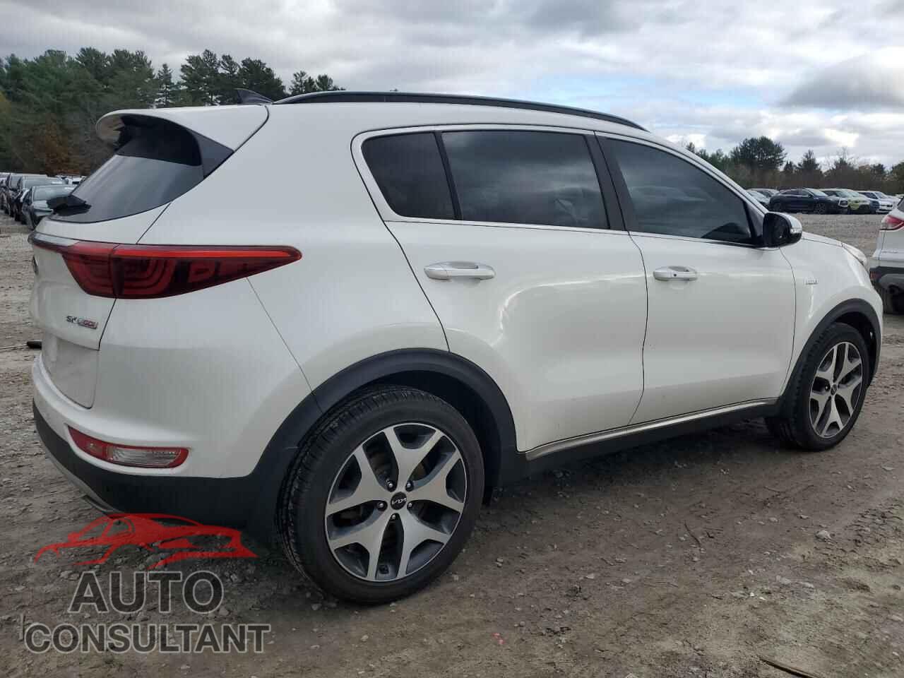 KIA SPORTAGE 2019 - KNDPRCA67K7595111