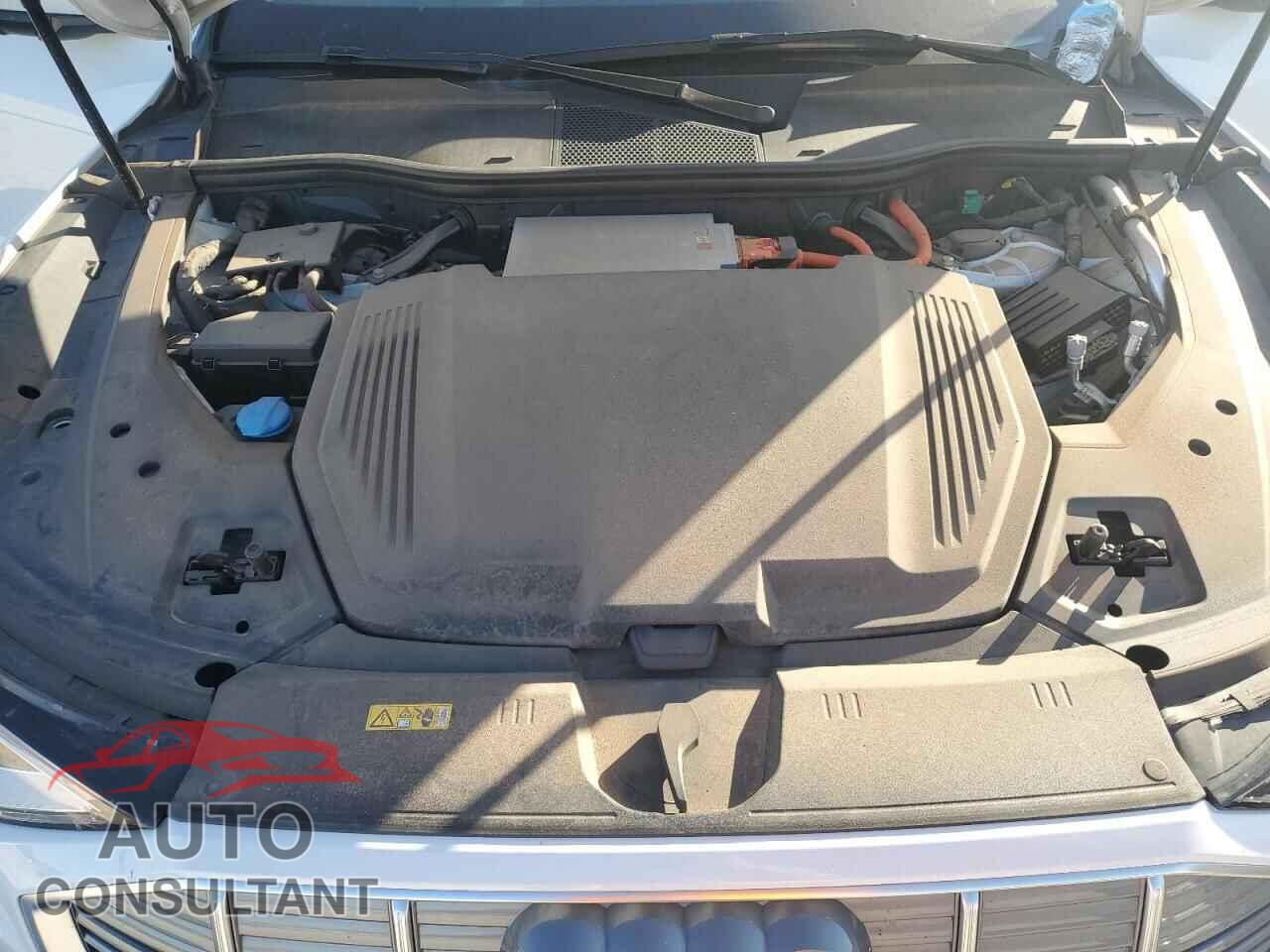 AUDI E-TRON 2019 - WA1VABGEXKB011296