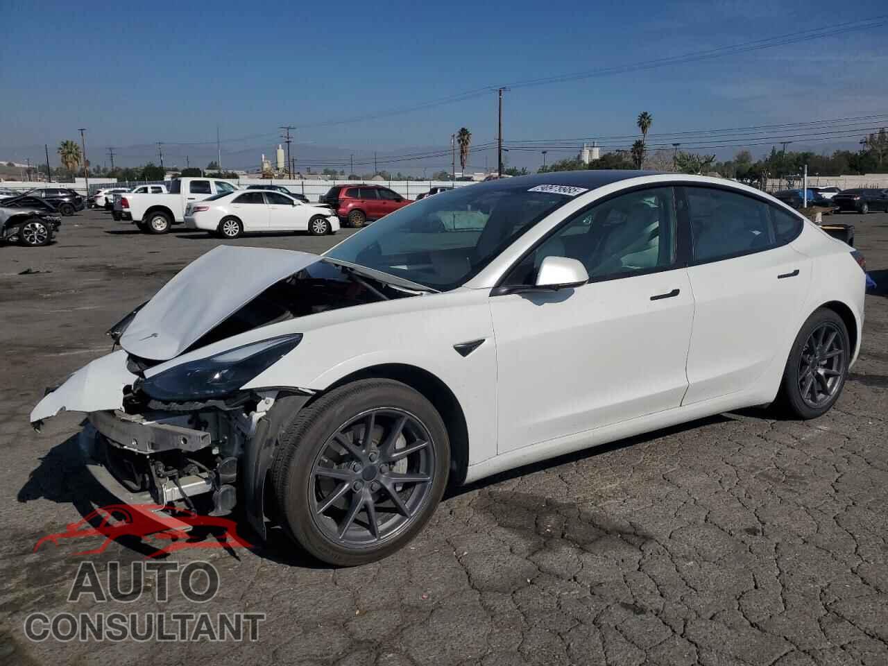 TESLA MODEL 3 2021 - 5YJ3E1EA4MF018689