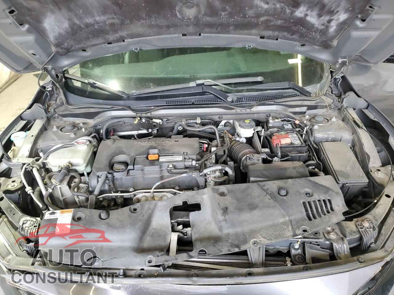 HONDA CIVIC 2019 - 2HGFC2F81KH510285