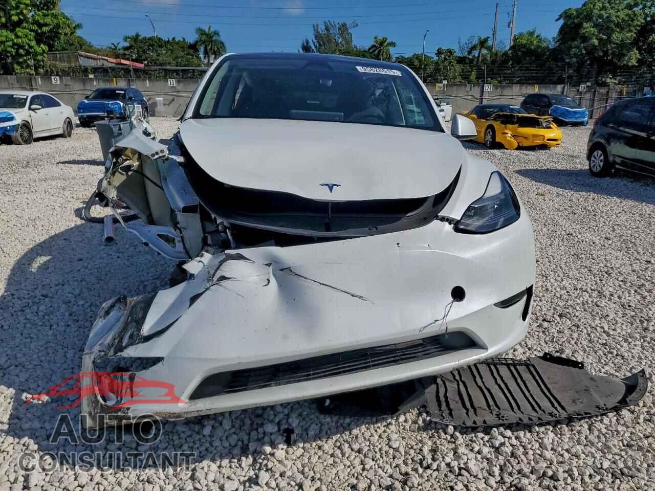 TESLA MODEL Y 2024 - 7SAYGAEE5RF033697