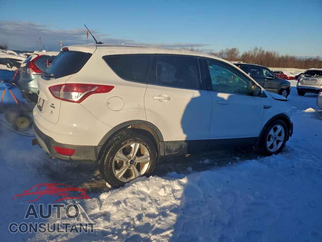 FORD ESCAPE 2014 - 1FMCU9G96EUC44323