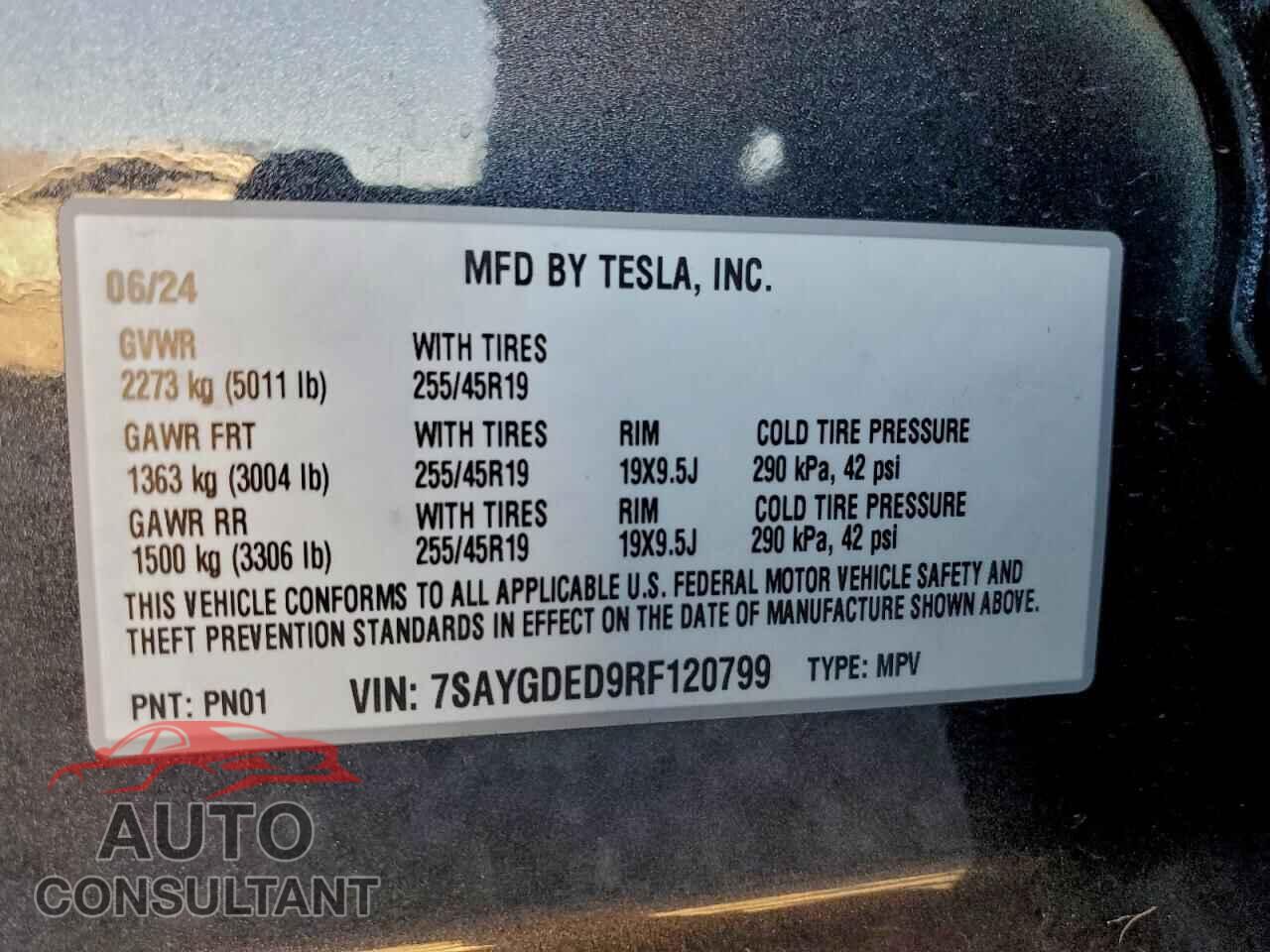 TESLA MODEL Y 2024 - 7SAYGDED9RF120799