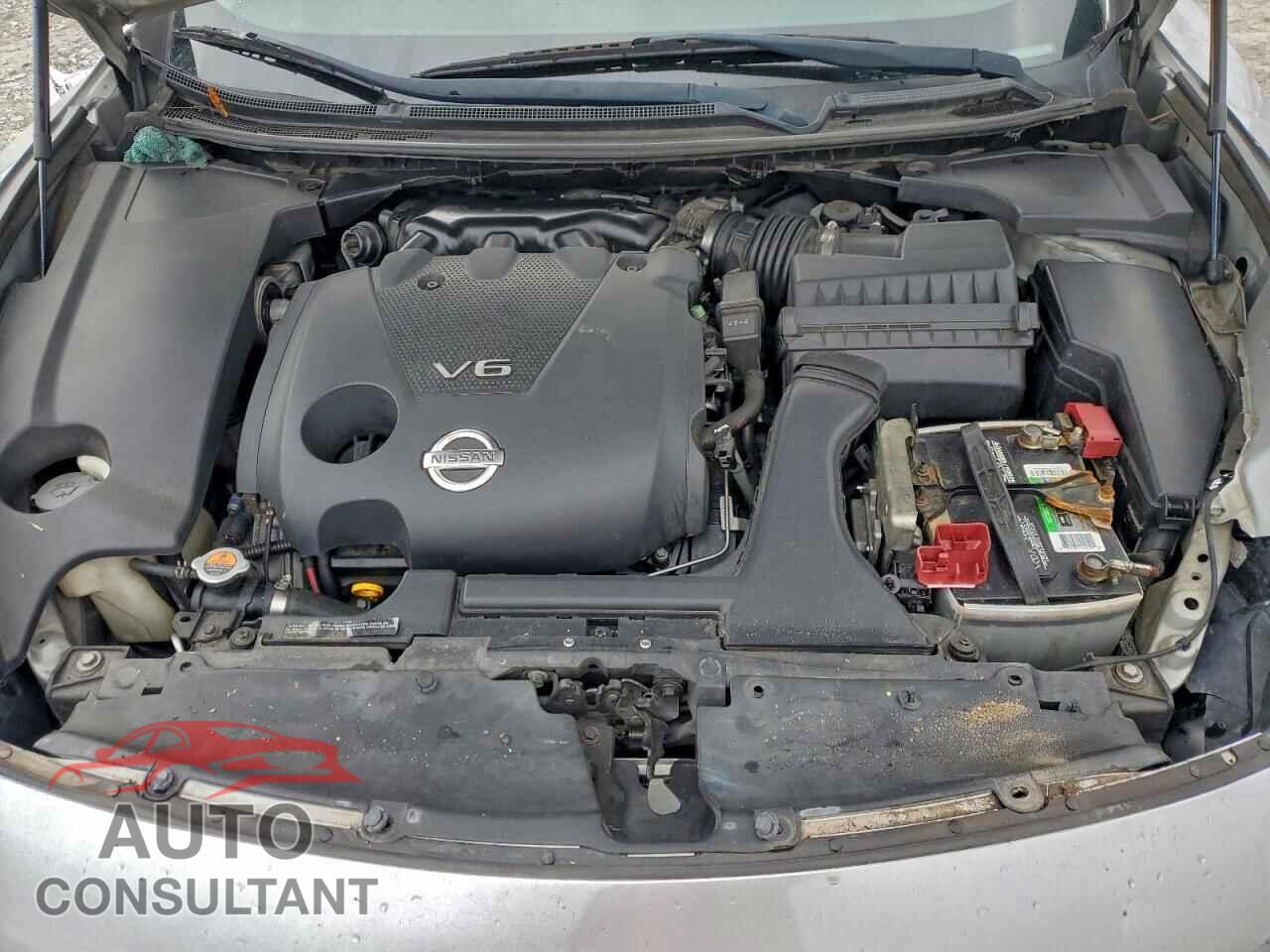 NISSAN MAXIMA 2013 - 1N4AA5AP3DC846482