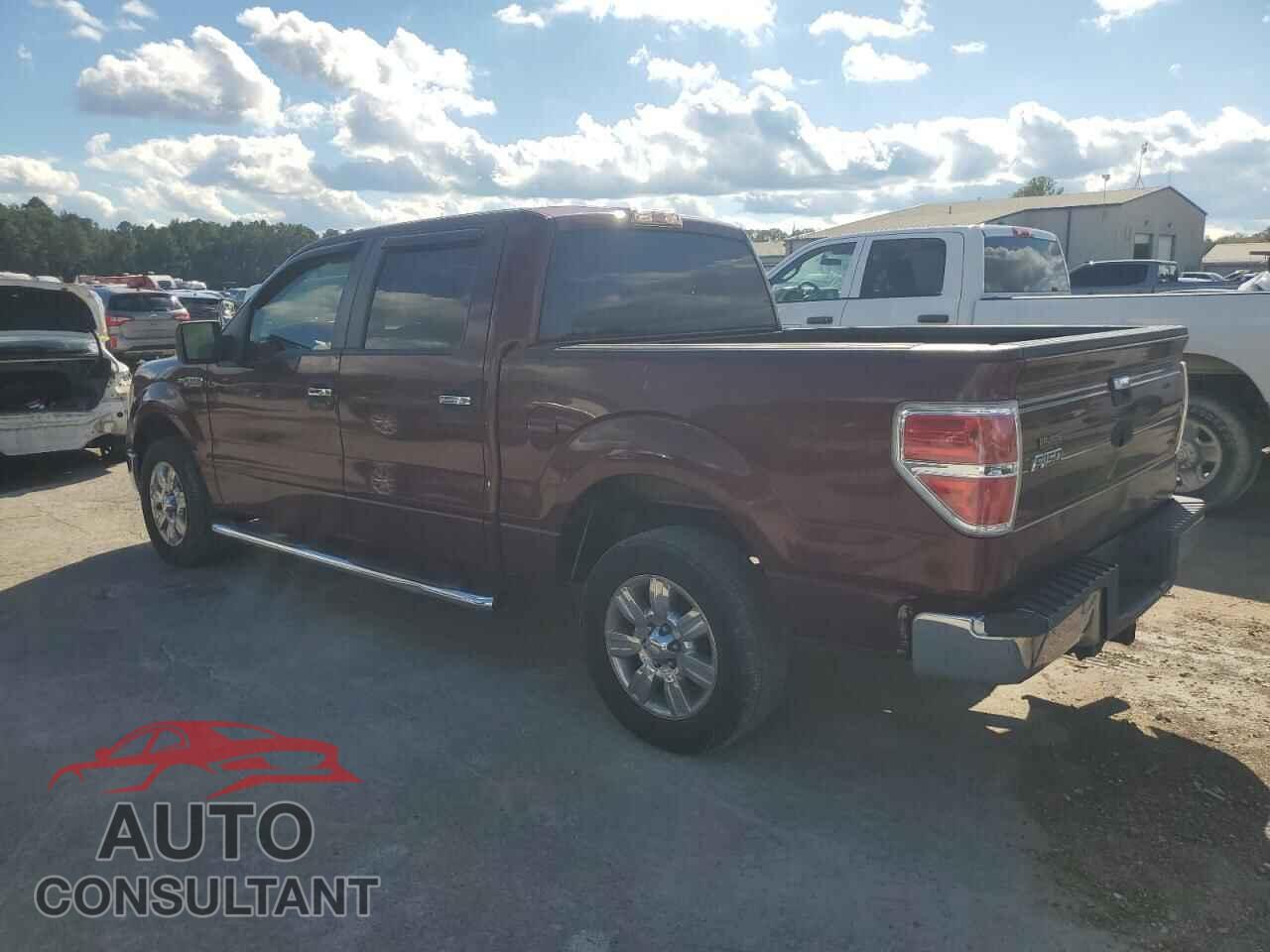 FORD F-150 2010 - 1FTEW1C8XAFB84244