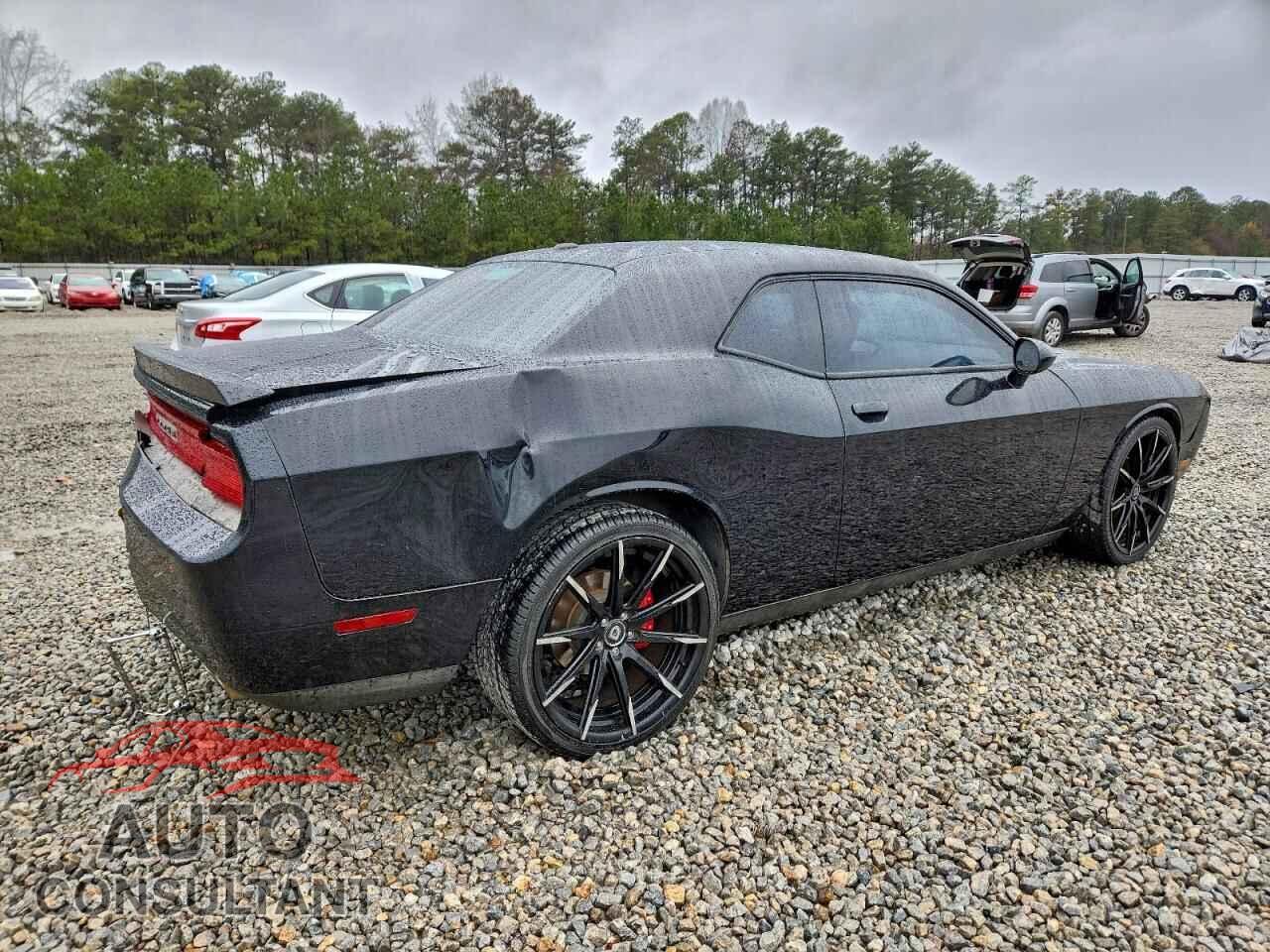 DODGE CHALLENGER 2013 - 2C3CDYBT5DH631257