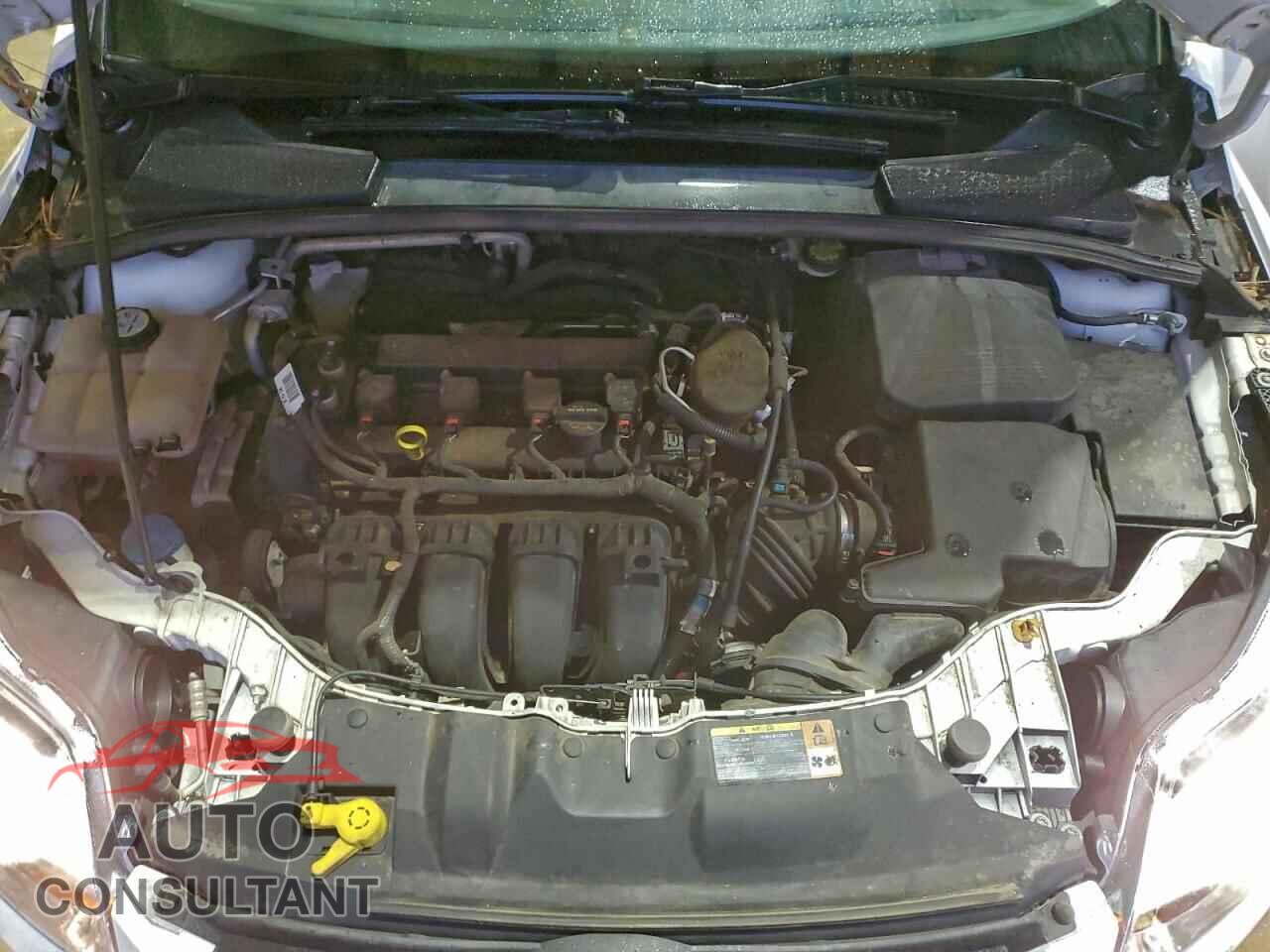 FORD FOCUS 2013 - 1FADP3F2XDL334263