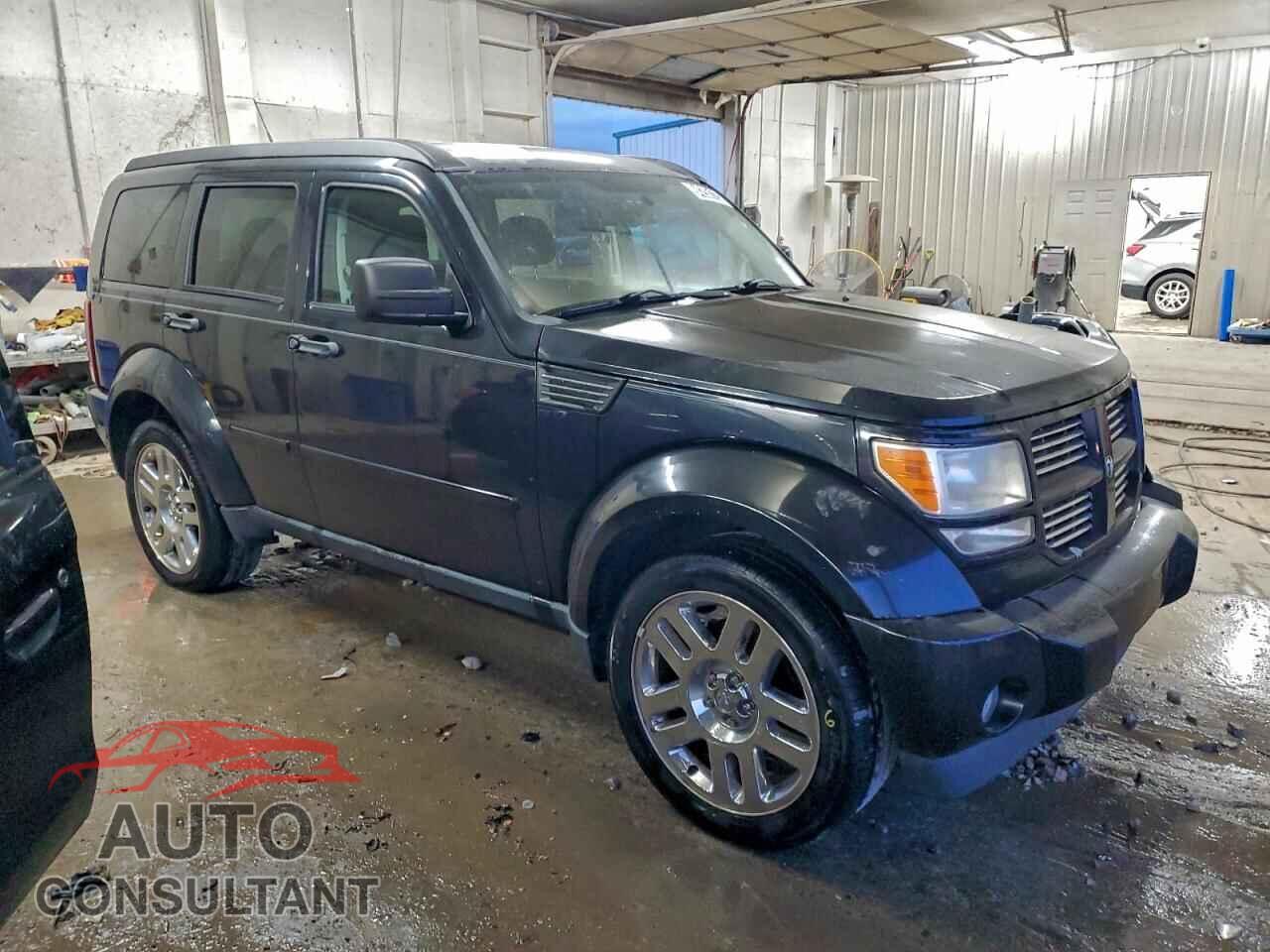 DODGE NITRO 2011 - 1D4PT4GX2BW528559