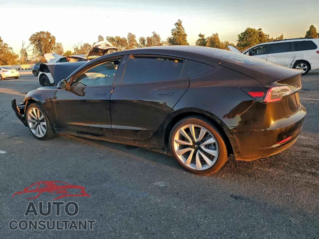 TESLA MODEL 3 2019 - 5YJ3E1EA5KF300479