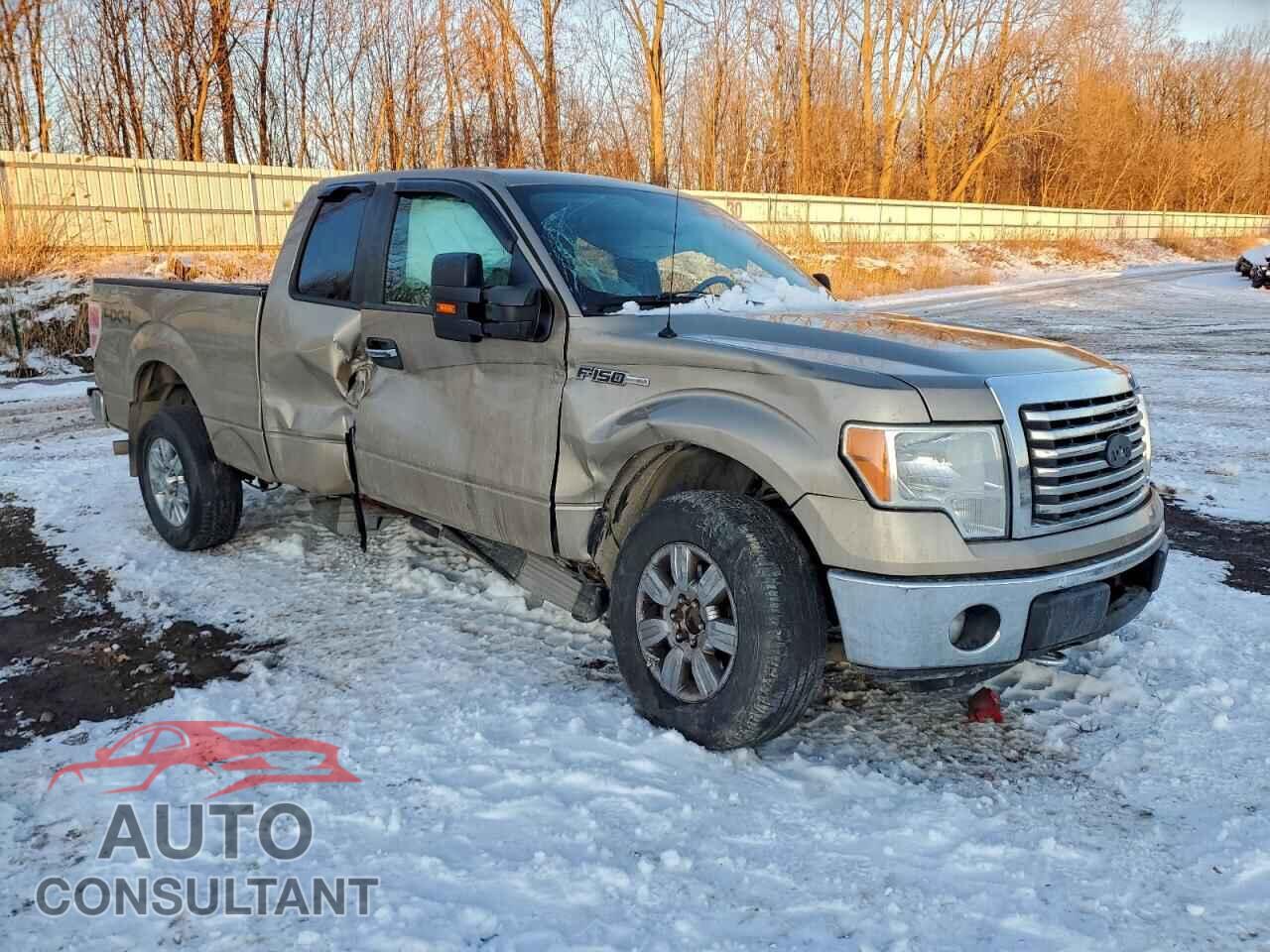 FORD F-150 2011 - 1FTFX1EF2BFC04548