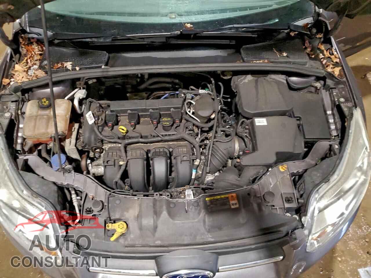 FORD FOCUS 2014 - 1FADP3E22EL240672