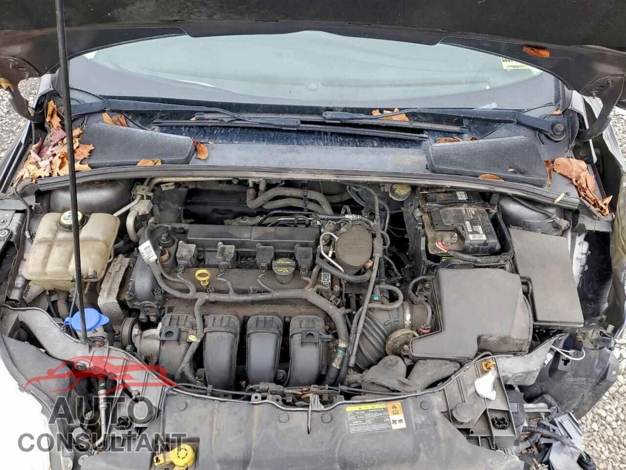 FORD FOCUS 2012 - 1FAHP3F22CL446765