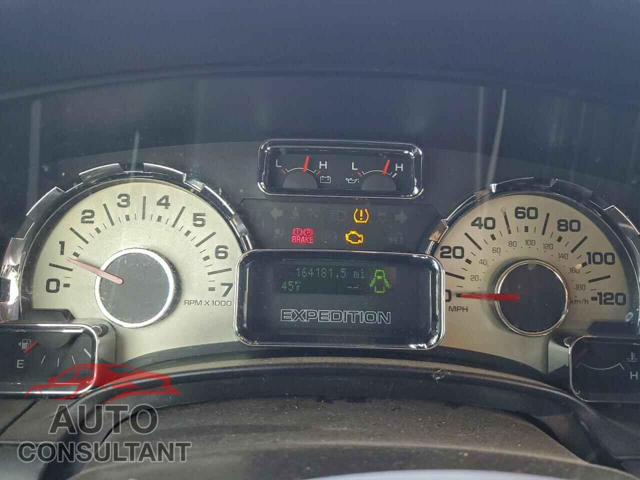 FORD EXPEDITION 2009 - 1FMFU15519LA14439