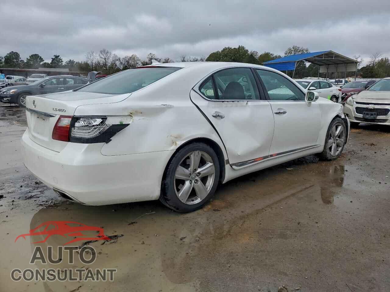 LEXUS LS460 2011 - JTHBL5EF6B5103003