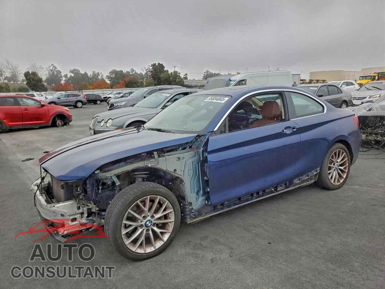 BMW 2 SERIES 2014 - WBA1F5C54EV255538