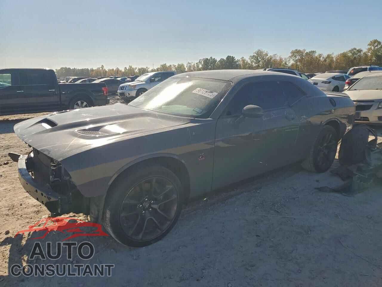 DODGE CHALLENGER 2023 - 2C3CDZFJ2PH667863