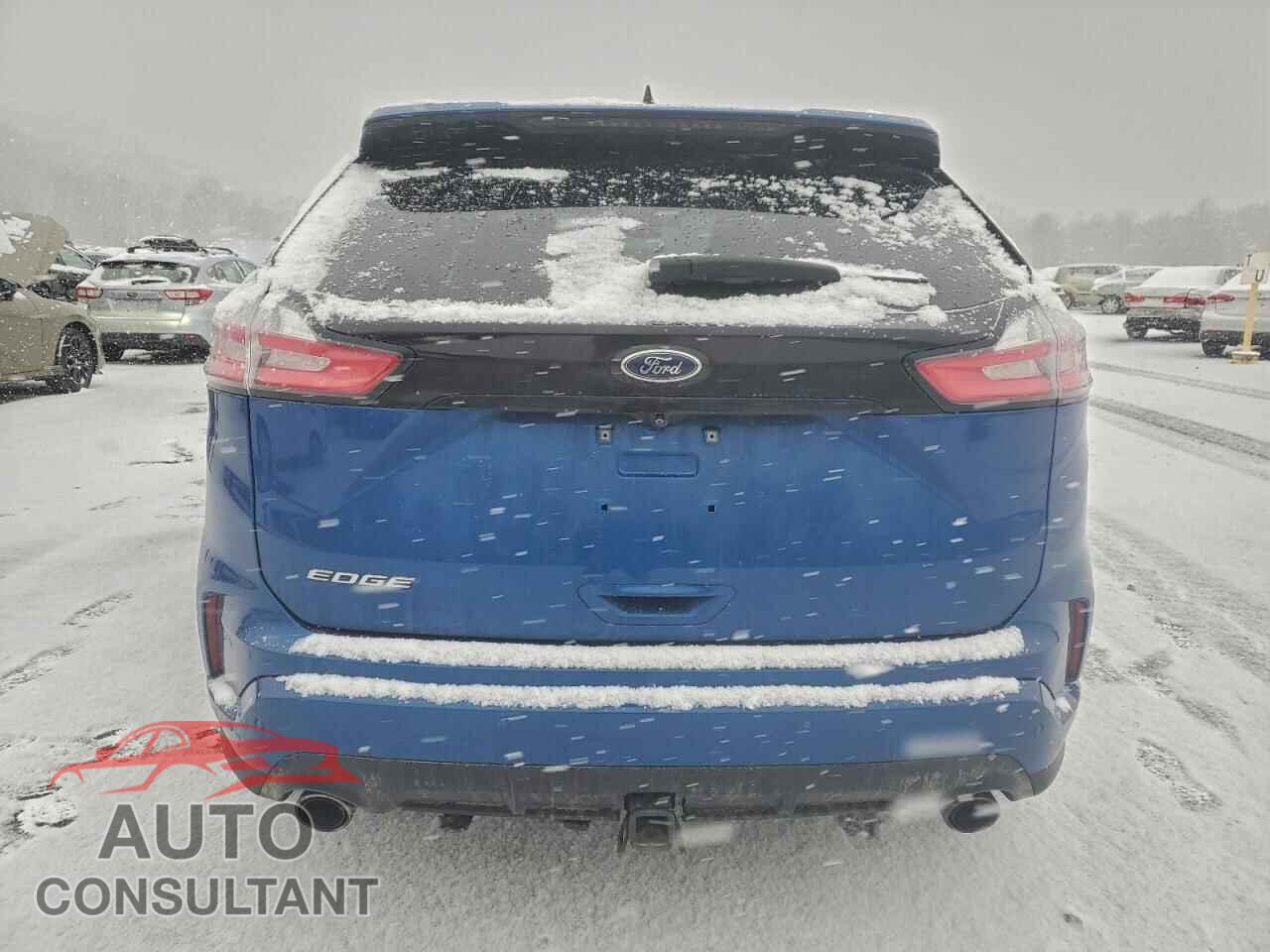 FORD EDGE 2020 - 2FMPK4J90LBB30842