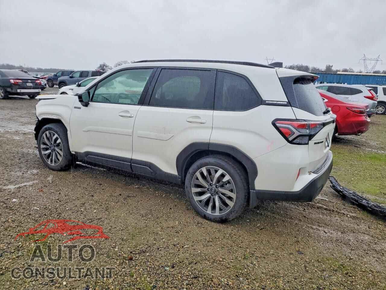 SUBARU FORESTER 2025 - JF2SLSTD8SH433341