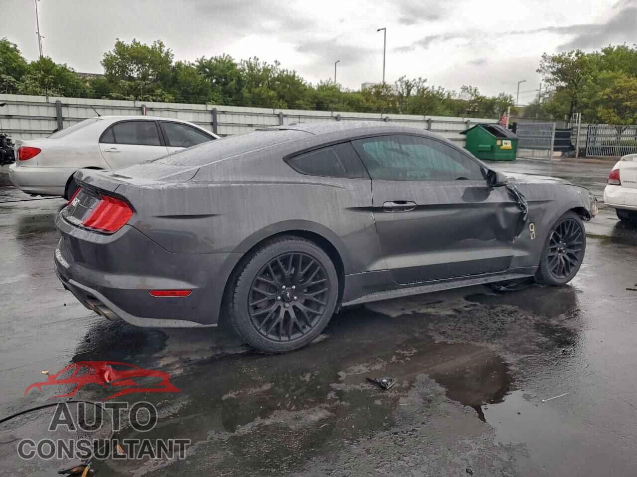 FORD MUSTANG 2019 - 1FA6P8CF8K5132861