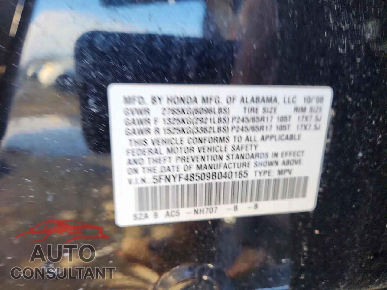 HONDA PILOT 2009 - 5FNYF48509B040165