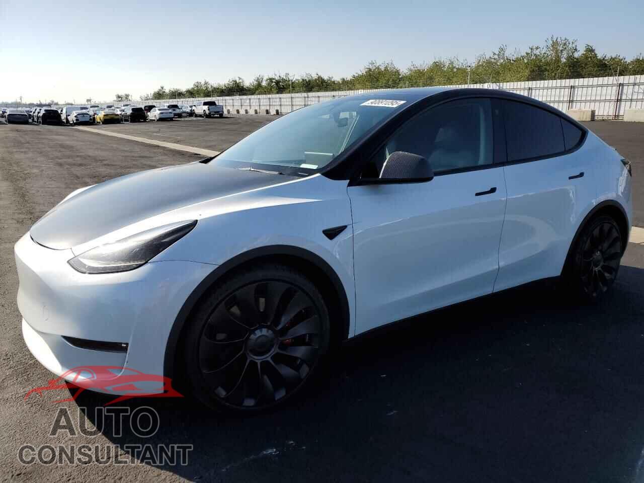 TESLA MODEL Y 2023 - 7SAYGDEF9PF738221