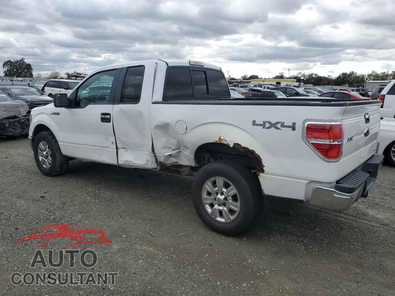 FORD F-150 2011 - 1FTFX1EFXBFA70565