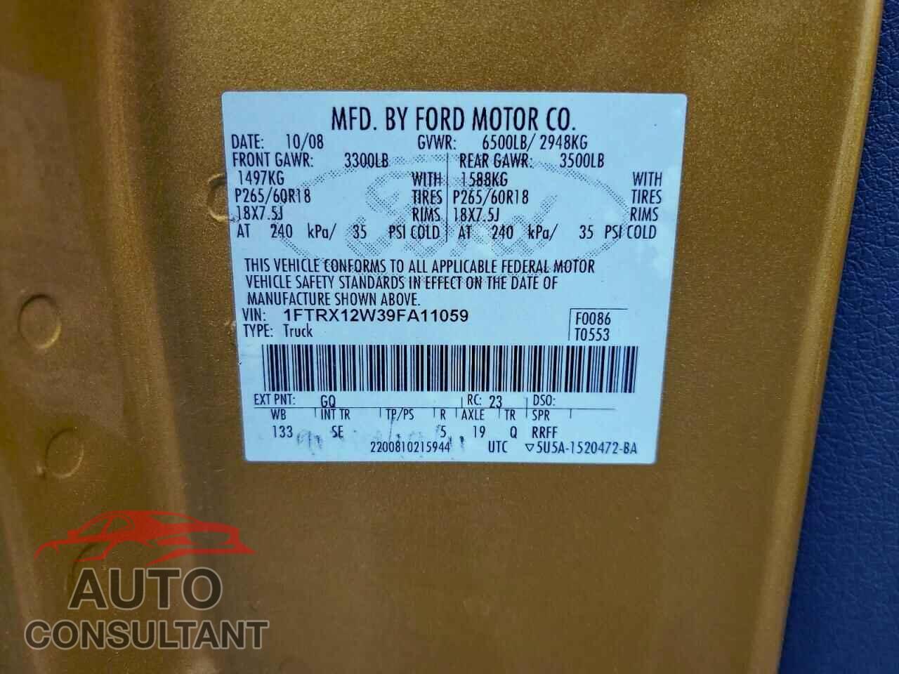 FORD F-150 2009 - 1FTRX12W39FA11059
