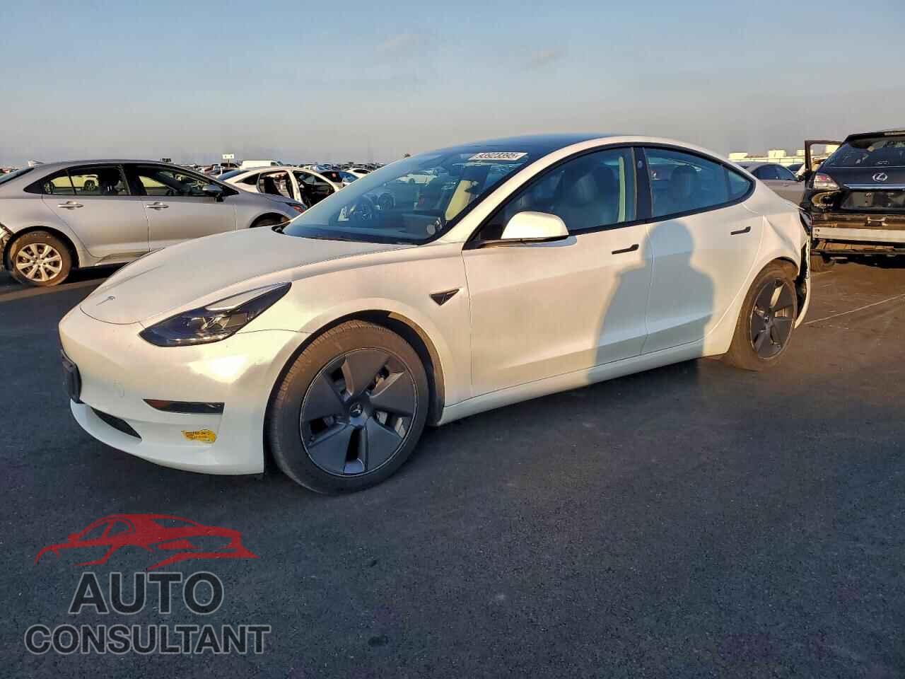 TESLA MODEL 3 2021 - 5YJ3E1EA1MF094032