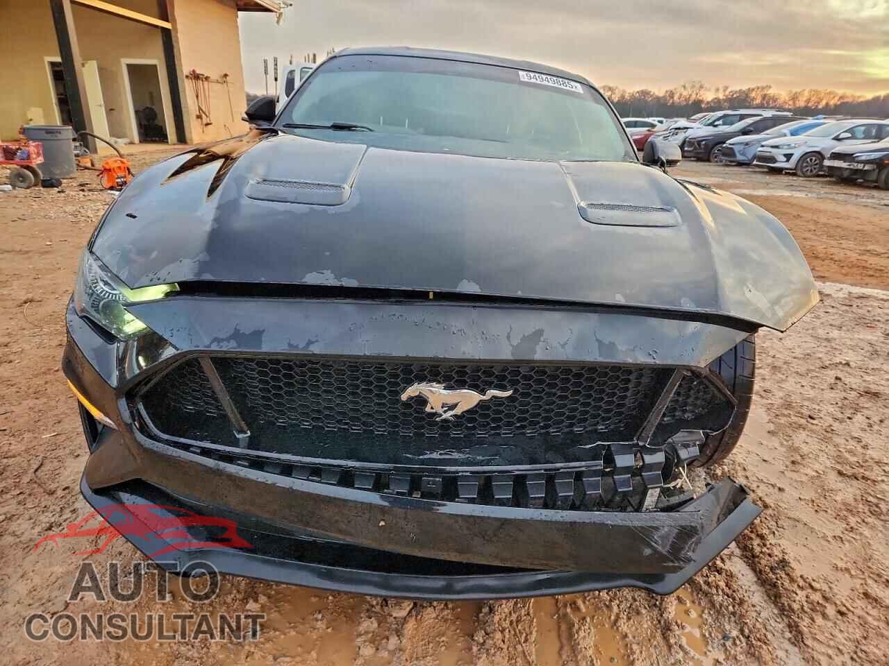 FORD MUSTANG 2019 - 1FA6P8CF7K5199581
