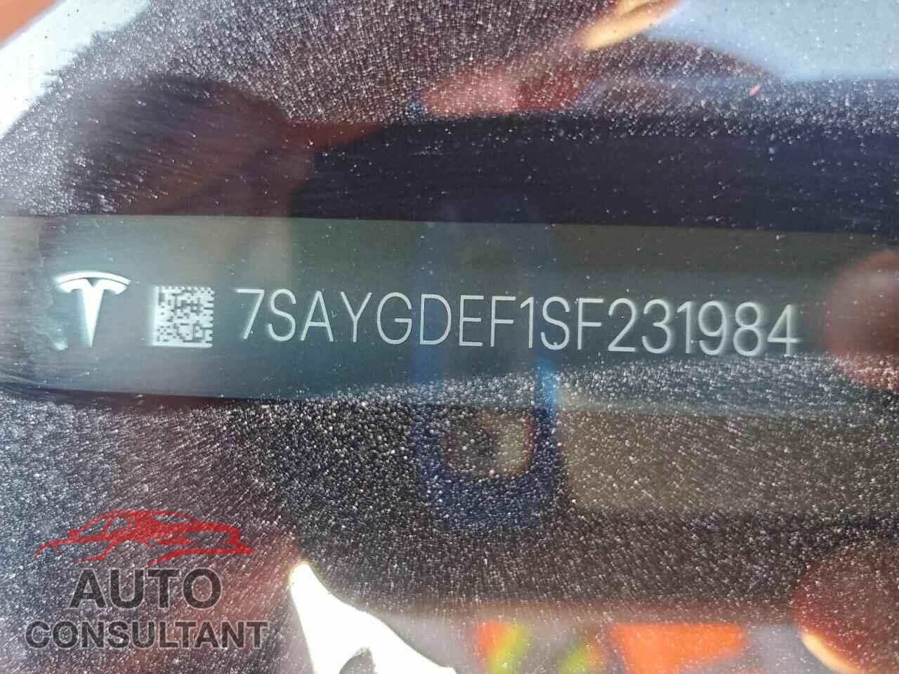 TESLA MODEL Y 2025 - 7SAYGDEF1SF231984