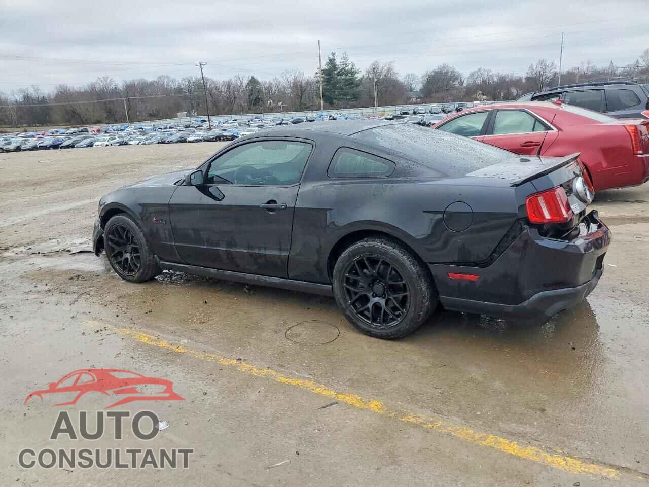 FORD MUSTANG 2011 - 1ZVBP8CF2B5151542