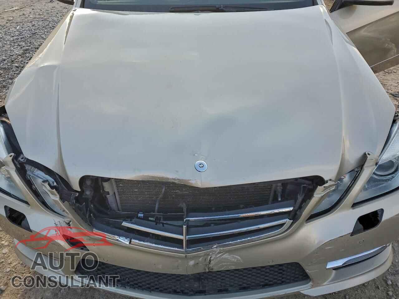 MERCEDES-BENZ E-CLASS 2013 - WDDHF9BB1DA738125