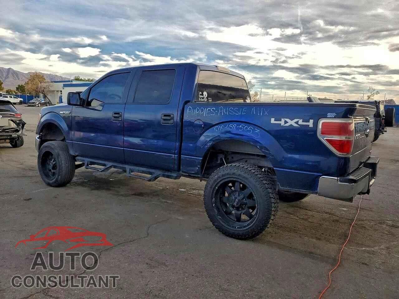 FORD F-150 2012 - 1FTFW1EF8CFC25392
