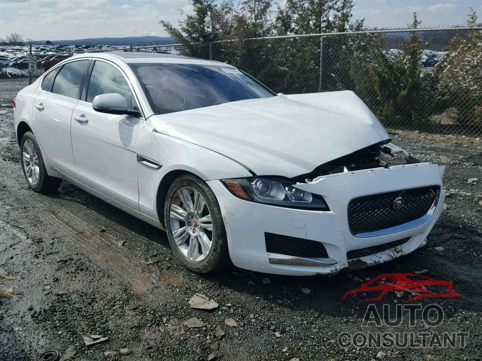 JAGUAR XF 2016 - SAJBD4BV8GCY21712