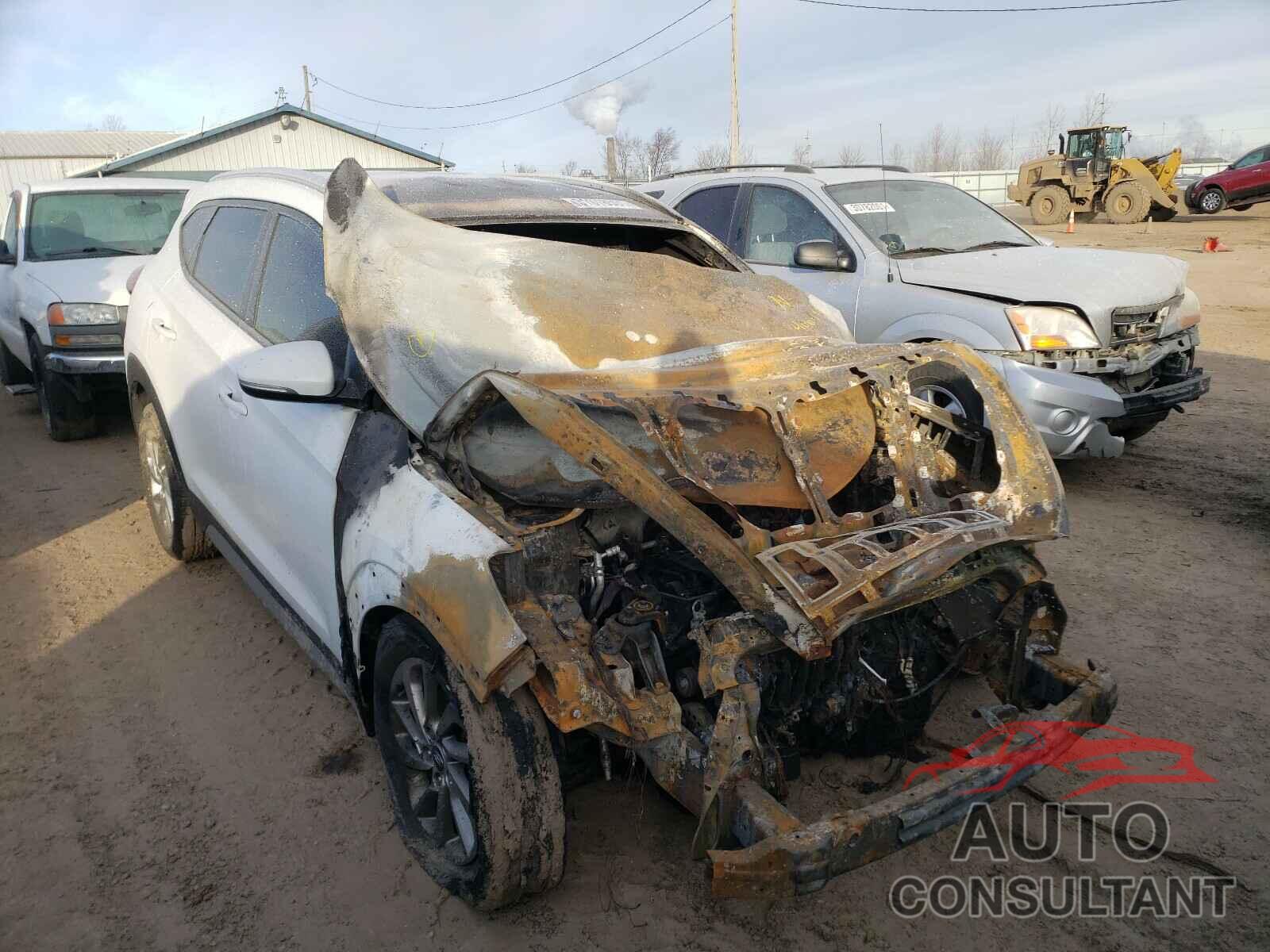 HYUNDAI TUCSON 2017 - KM8J3CA41HU406495