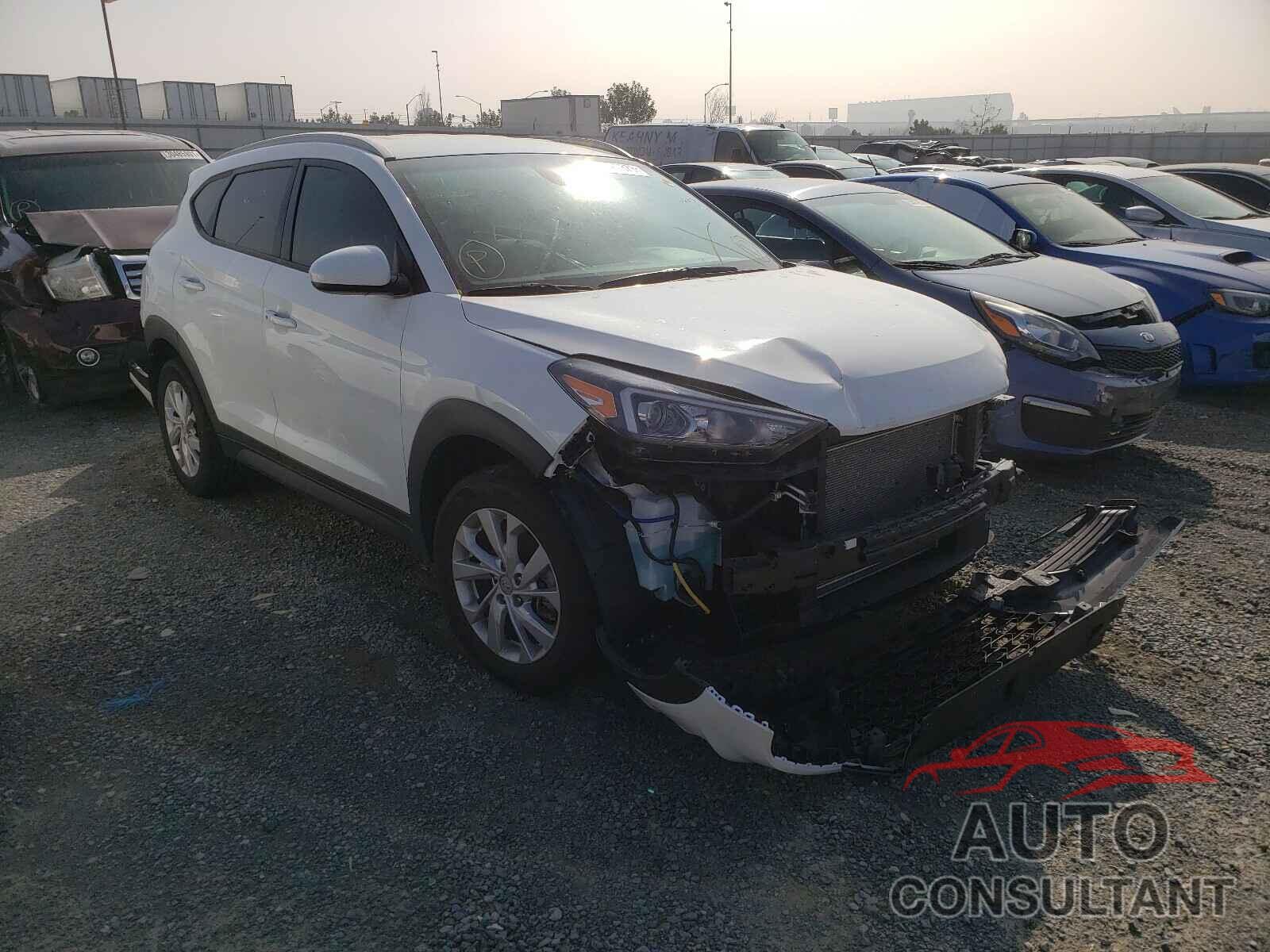HYUNDAI TUCSON 2019 - KM8J33A46KU024017