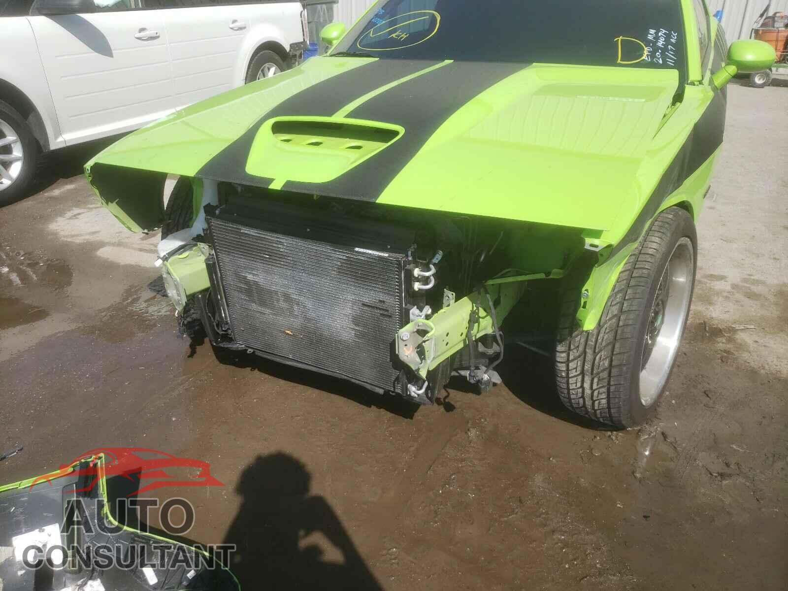 DODGE CHALLENGER 2019 - 2C3CDZBTXKH733981