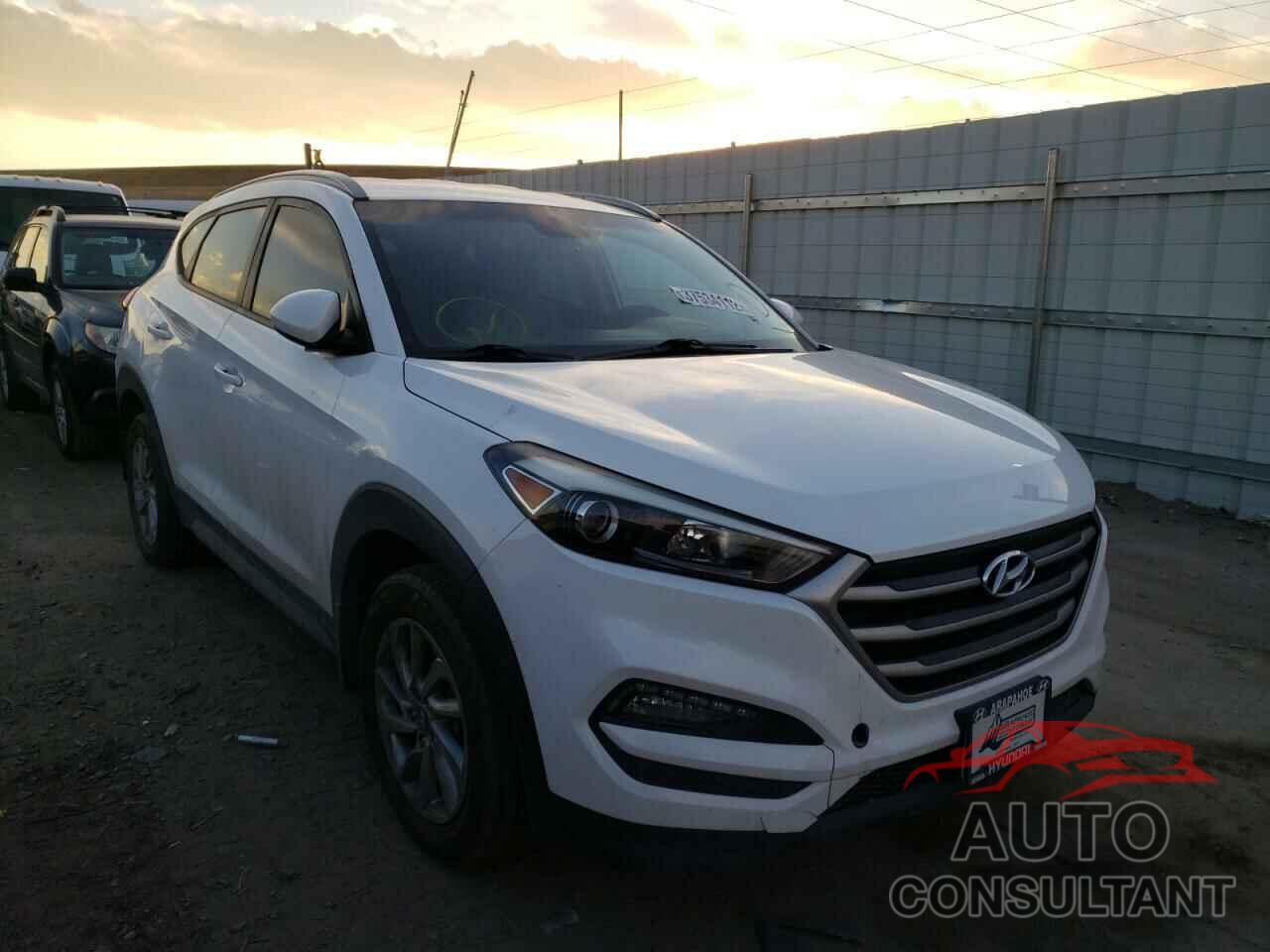 HYUNDAI TUCSON 2017 - KM8J3CA49HU317905