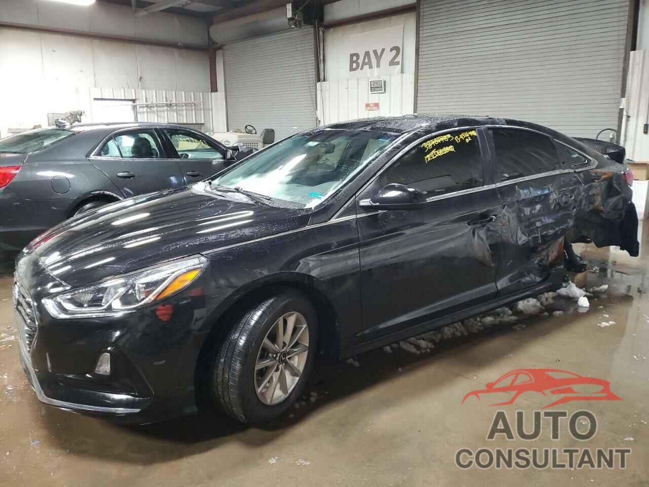 HYUNDAI SONATA 2019 - 5NPE24AF7KH787707